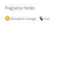 عطر ادکلن مردانه بیگ پونی 4