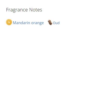 عطر ادکلن مردانه بیگ پونی 4