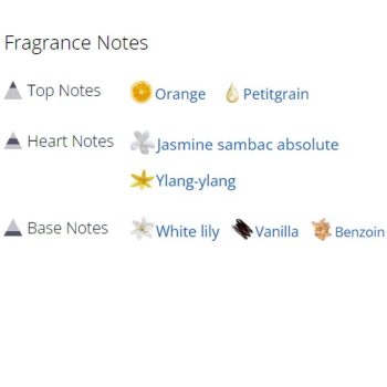 عطر ادکلن مردانه و زنانه ورت مالاکیت