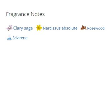 عطر ادکلن مردانه اچ 24