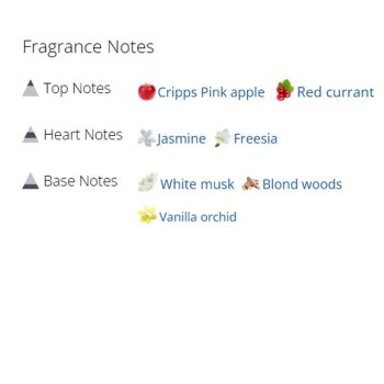 عطر ادکلن زنانه مودرن پرینسس