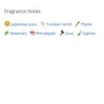 148213_img-8582-louis-vuitton-on-the-beach_720