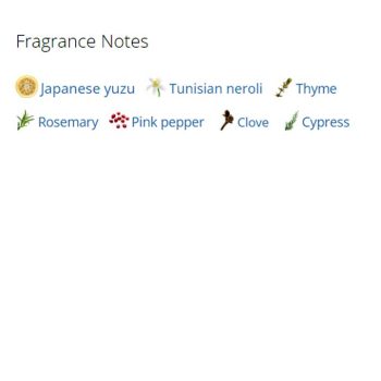 عطر ادکلن مردانه و زنانه آن د بیچ