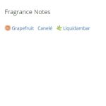 عطر ادکلن زنانه لاو می مور