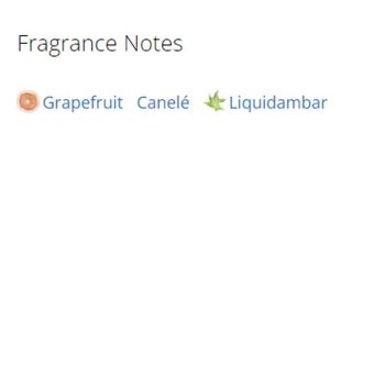 عطر ادکلن زنانه لاو می مور