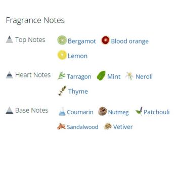 عطر ادکلن مردانه فیرو