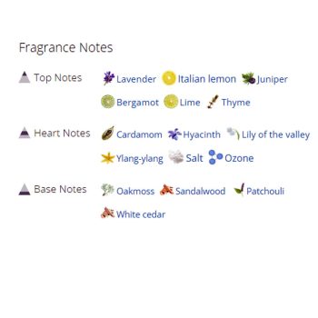 عطر ادکلن مردانه و زنانه فوکونرو