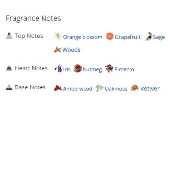 عطر ادکلن مردانه تام فورد گری وتیور