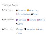 عطر ادکلن زنانه ویکتوریا سکرت وری س.ک.سی فور هر