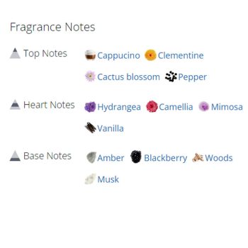 عطر ادکلن زنانه ویکتوریا سکرت وری س.ک.سی فور هر