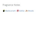 عطر ادکلن زنانه ویکتوریا سکرت بامبشل نایتس