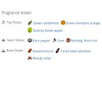 عطر ادکلن مردانه اسپایس بمب نایت ویژن