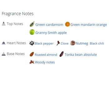 عطر ادکلن مردانه اسپایس بمب نایت ویژن