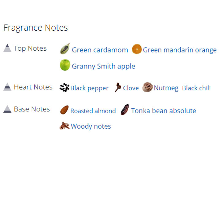 عطر ادکلن مردانه اسپایس بمب نایت ویژن عطر ادکلن مردانه اسپایس بمب نایت ویژن