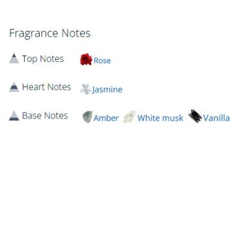 عطر ادکلن مردانه و زنانه سکرت آمبر