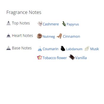 عطر ادکلن مردانه بوکت آیدیل