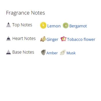 عطر ادکلن مردانه و زنانه یودن اُوِردوز