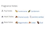 عطر ادکلن مردانه و زنانه اسپلندید وود