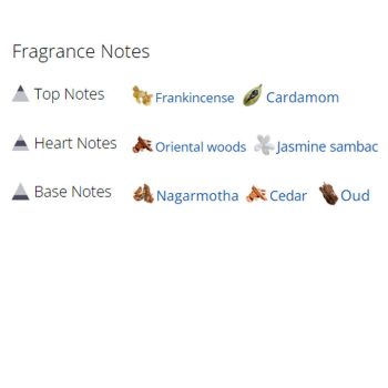 عطر ادکلن مردانه و زنانه اسپلندید وود