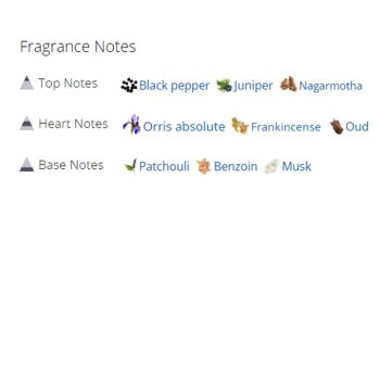 عطر ادکلن مردانه و زنانه خیابان 37