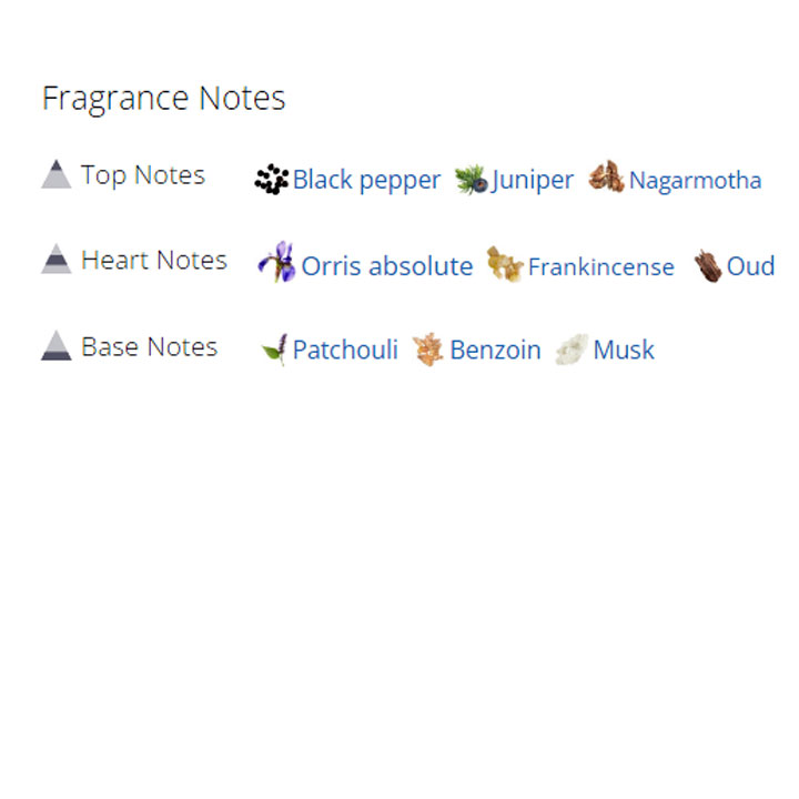 عطر ادکلن مردانه و زنانه خیابان 37 عطر ادکلن مردانه و زنانه خیابان 37