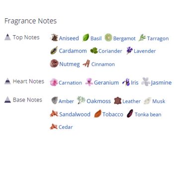 عطر ادکلن مردانه جاز