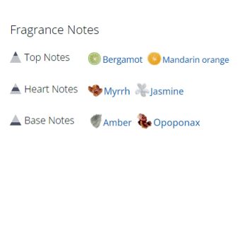 عطر ادکلن زنانه اپیوم