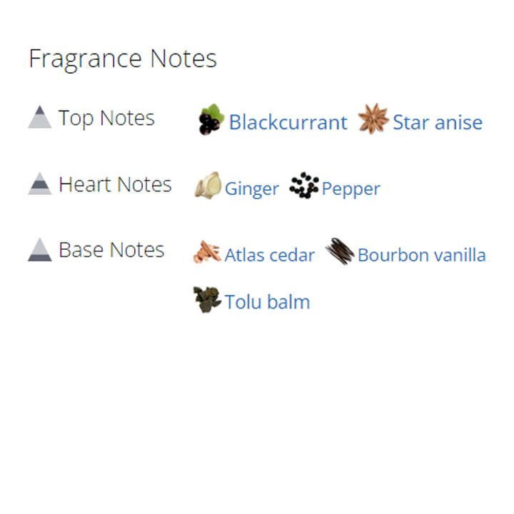 عطر ادکلن مردانه اوپیوم عطر ادکلن مردانه اوپیوم