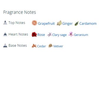 عطر ادکلن مردانه لهوم اولتایم