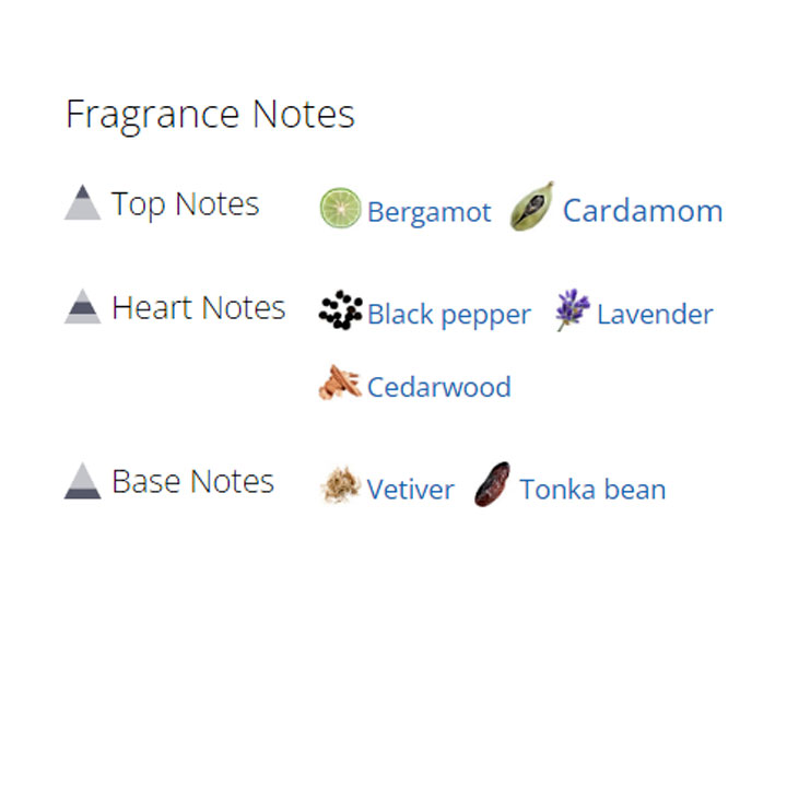 عطر ادکلن مردانه لانویی د لهوم عطر ادکلن مردانه لانویی د لهوم