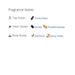 عطر ادکلن مردانه جاست راک لویی