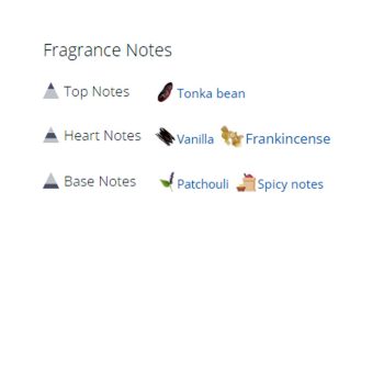 عطر ادکلن مردانه جاست راک لویی