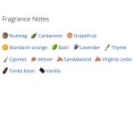 عطر ادکلن مردانه چمیستری