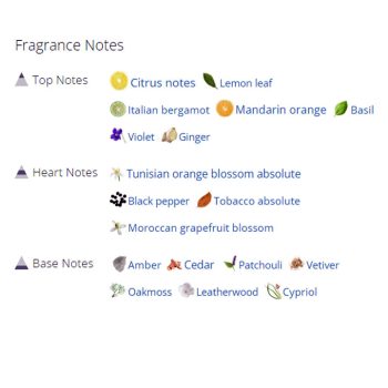 عطر ادکلن مردانه تام فورد فور من