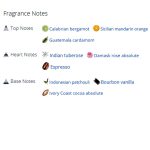 عطر ادکلن مردانه و زنانه کافه تیوب رز