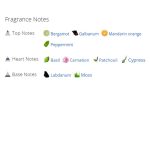 عطر ادکلن مردانه و زنانه تام فورد ایتالین سایپرس