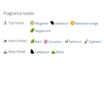 عطر ادکلن مردانه و زنانه تام فورد ایتالین سایپرس