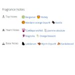 عطر ادکلن زنانه تام فورد ولوت ارکید