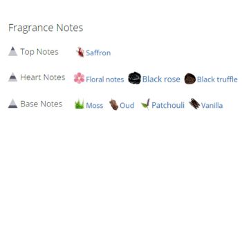 عطر ادکلن مردانه و زنانه تام فورد نوآق د نوآق