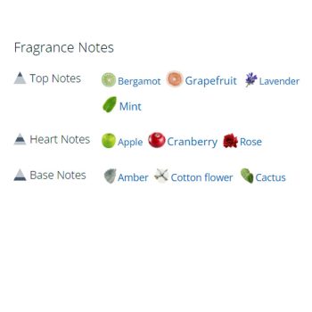 عطر ادکلن مردانه تامی