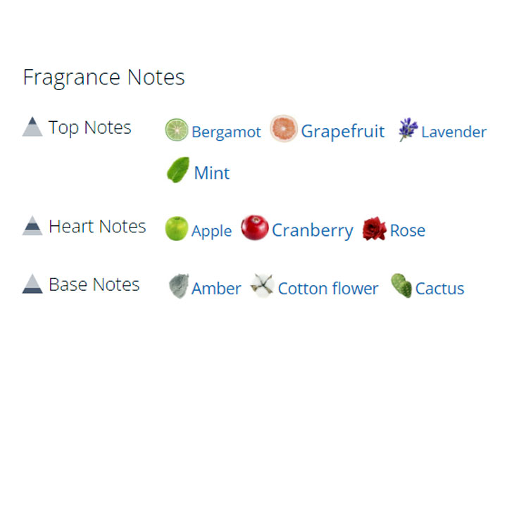 عطر ادکلن مردانه تامی عطر ادکلن مردانه تامی