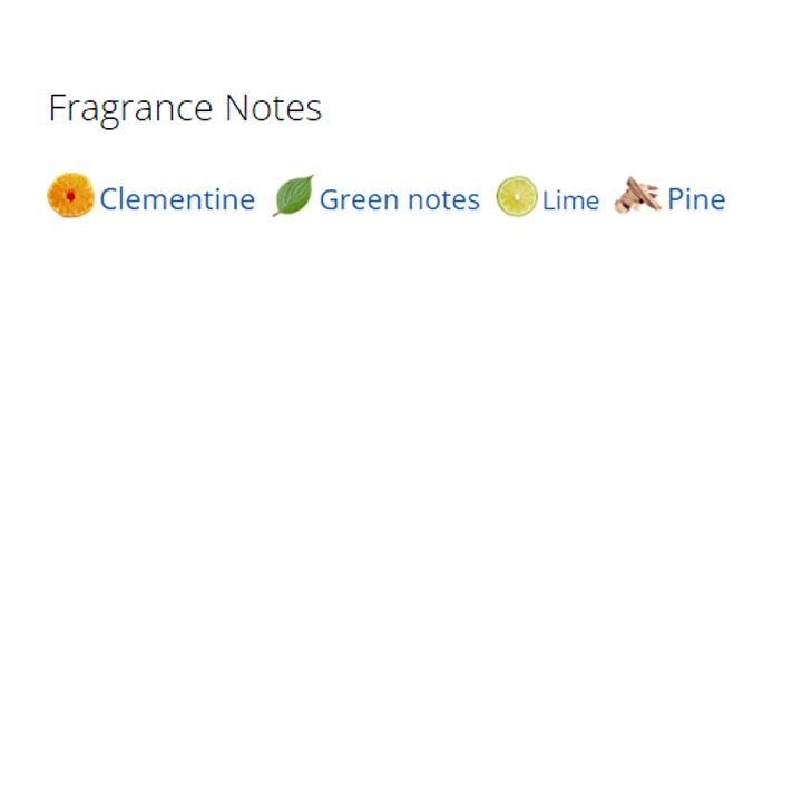 عطر ادکلن مردانه تی عطر ادکلن مردانه تی