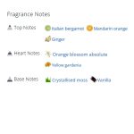 عطر ادکلن زنانه وچه ویوا