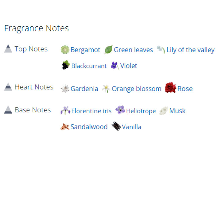 عطر ادکلن زنانه راکن رز عطر ادکلن زنانه راکن رز