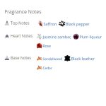 عطر ادکلن زنانه نویر ابسولو