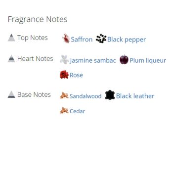 عطر ادکلن زنانه نویر ابسولو