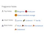 عطر ادکلن زنانه ورساچه ورسنس