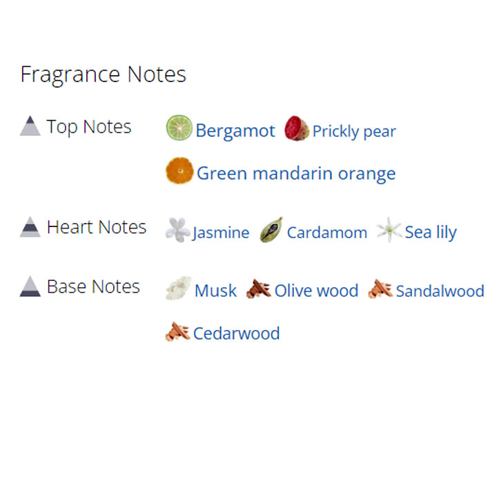 عطر ادکلن زنانه ورساچه ورسنس عطر ادکلن زنانه ورساچه ورسنس