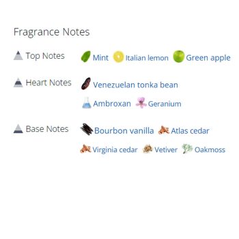 عطر ادکلن مردانه ورساچه اروس مردانه