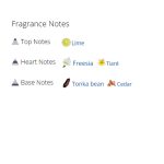 عطر ادکلن زنانه ورساچه ونیتاس